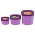 Crystal Container purple